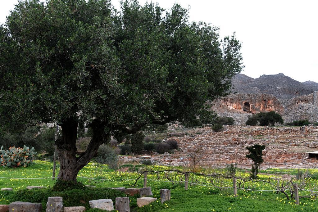 Villa Kalliopi Xerokampos  Esterno foto