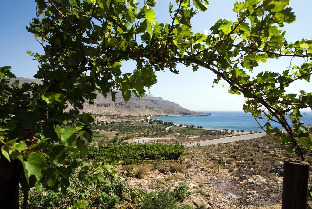 Villa Kalliopi Xerokampos  Esterno foto