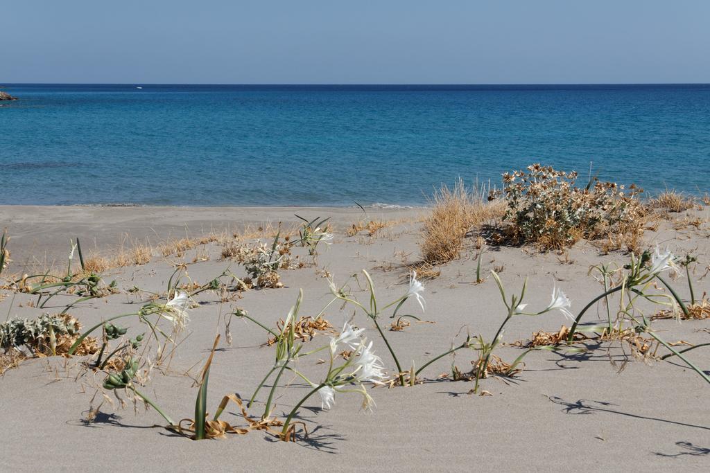 Villa Kalliopi Xerokampos  Esterno foto
