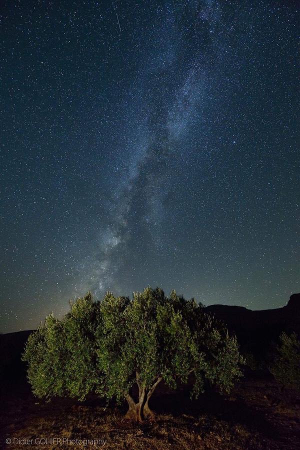 Villa Kalliopi Xerokampos  Esterno foto