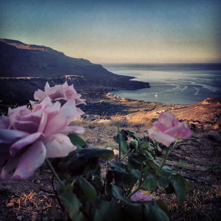 Villa Kalliopi Xerokampos  Esterno foto